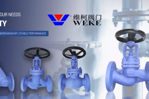 VAN BỊ CẤU TẠO VÀ HOẠT ĐỘNG
