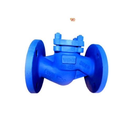 VAN 1 CHIỀU HƠI NÓNG NỐI BÍCH DIN PN25 RF HIỆU WEKE